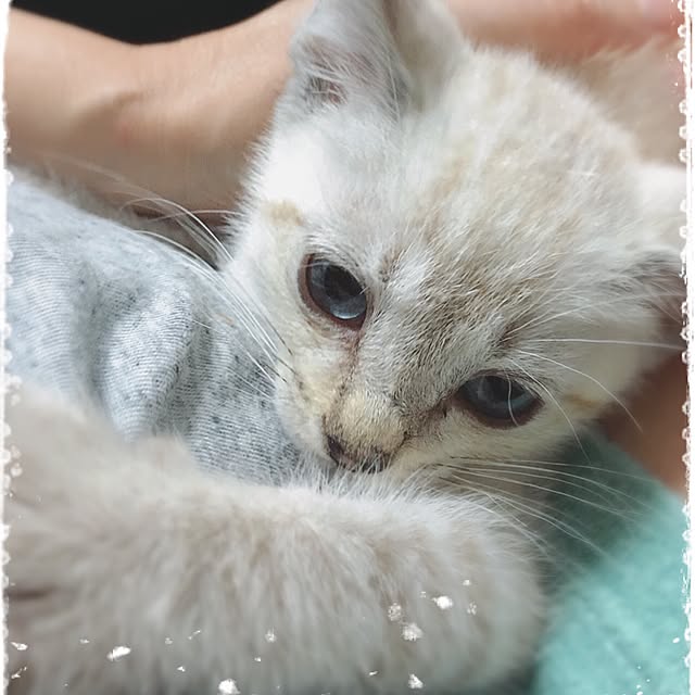 nodokaさんの実例写真