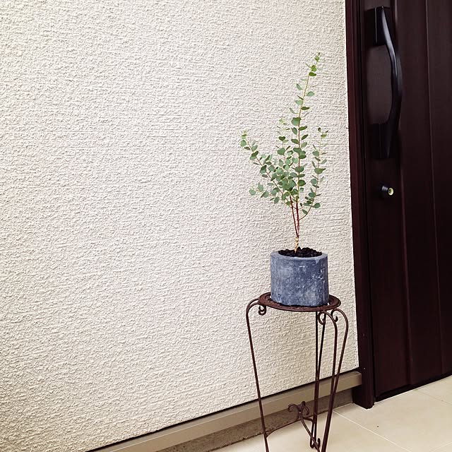 akikiさんの実例写真