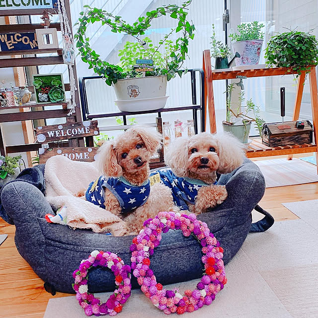 noririnさんの実例写真