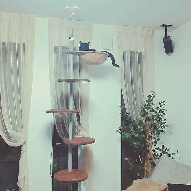 --Yu--Chi--さんの実例写真