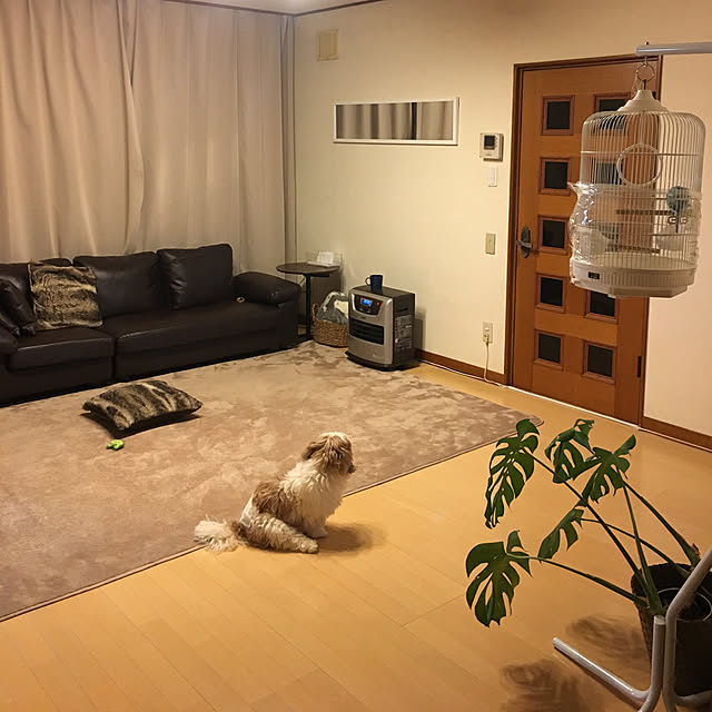 my_homeさんの実例写真