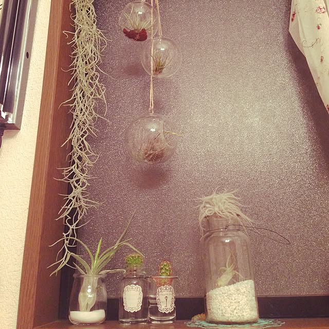lunaさんの実例写真
