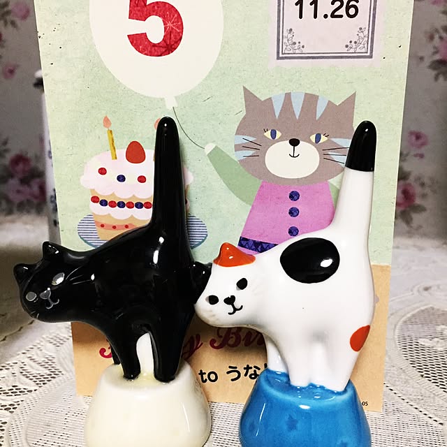kijitoraさんの実例写真