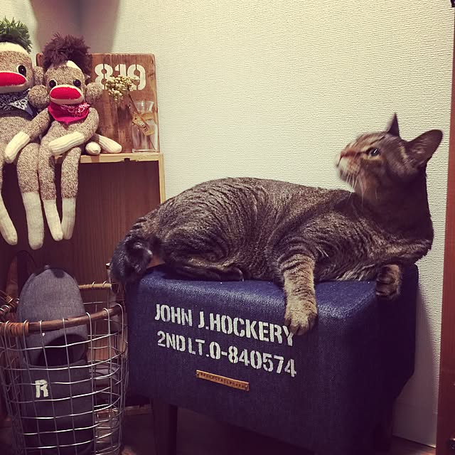beansさんの実例写真