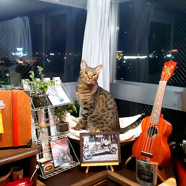 ken.kawakamiさんの実例写真