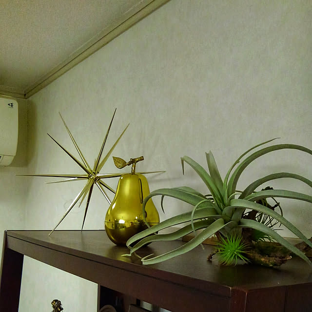Renさんの実例写真