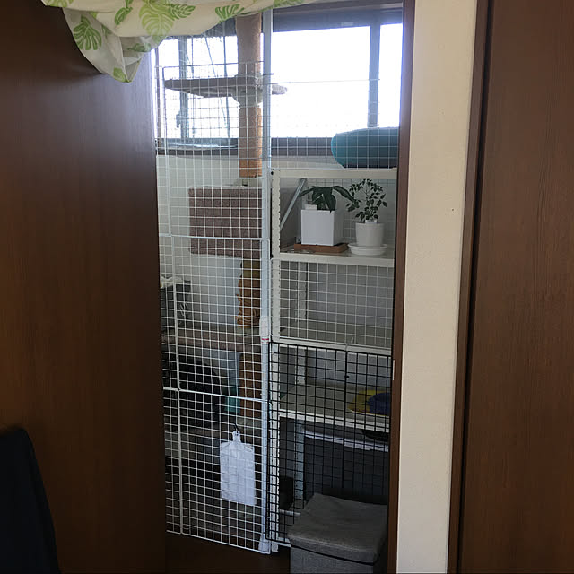ayuさんの実例写真