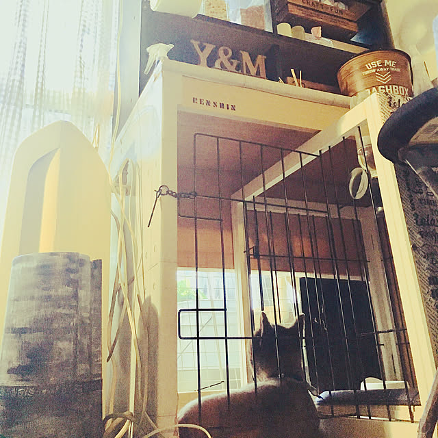 remoza0310さんの実例写真