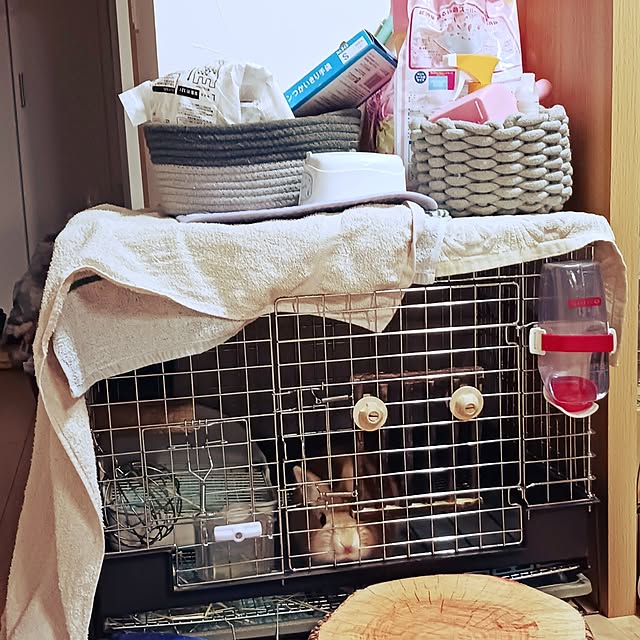aiさんの実例写真