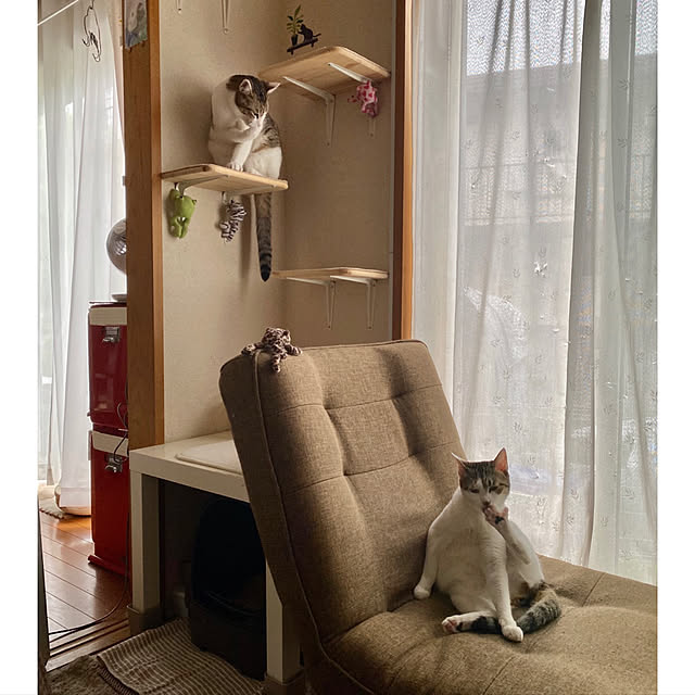 Lufuさんの実例写真