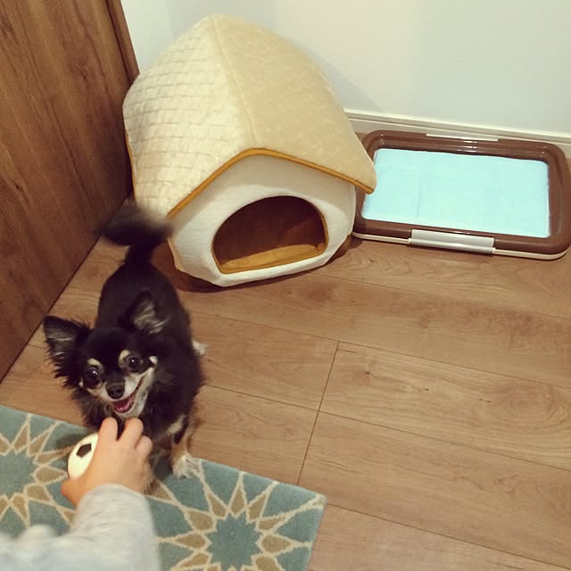 e_bijouterieさんの実例写真