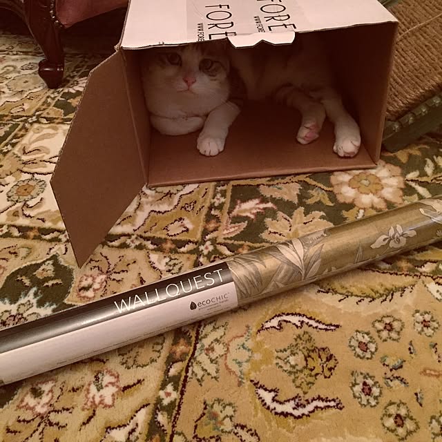 emmyyさんの実例写真