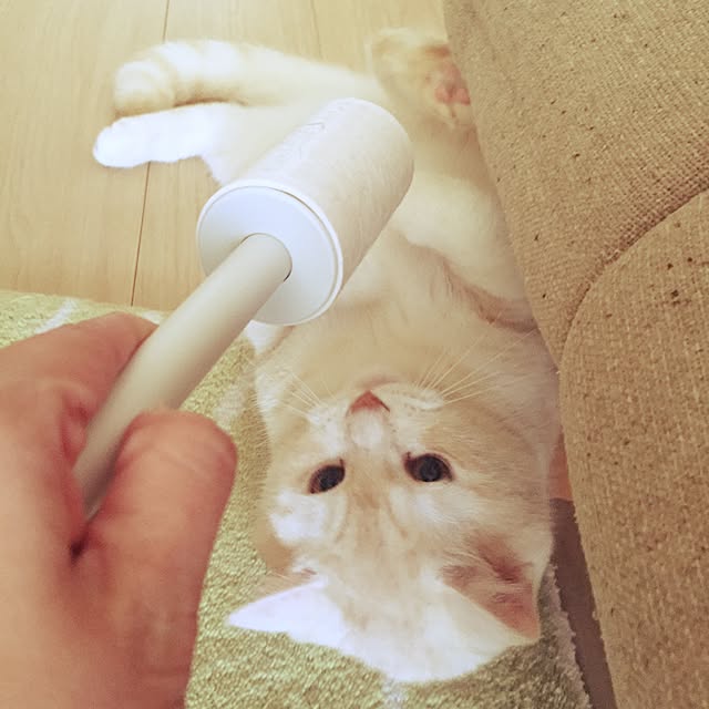 y.k.0123さんの実例写真