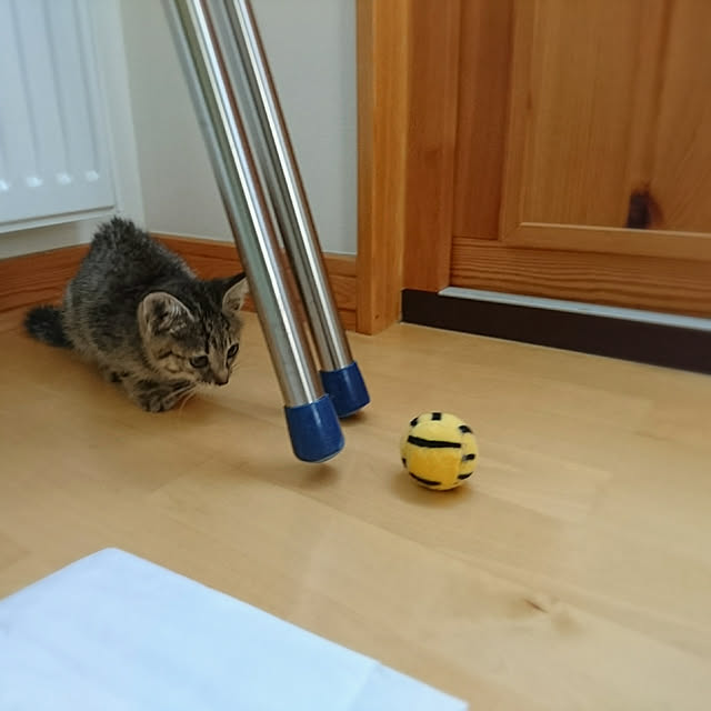 mimiさんの実例写真