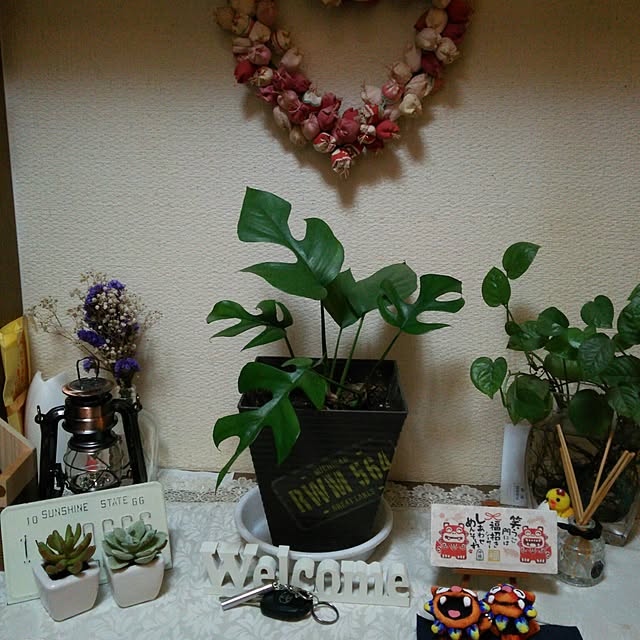 yasue..0503..さんの実例写真