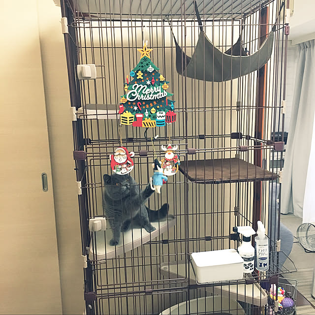 kittyさんの実例写真