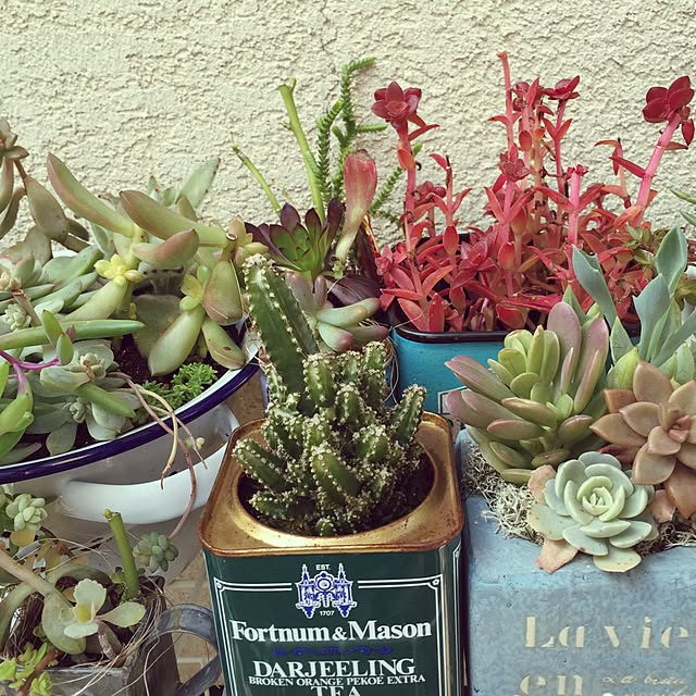 MAKIさんの実例写真