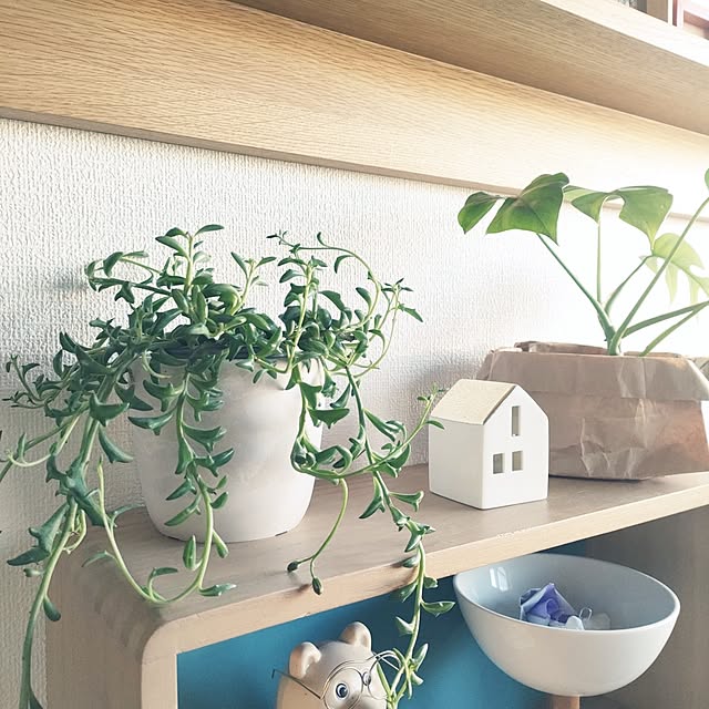 pinponmamさんの実例写真