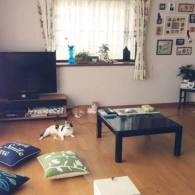 Kinanさんの実例写真