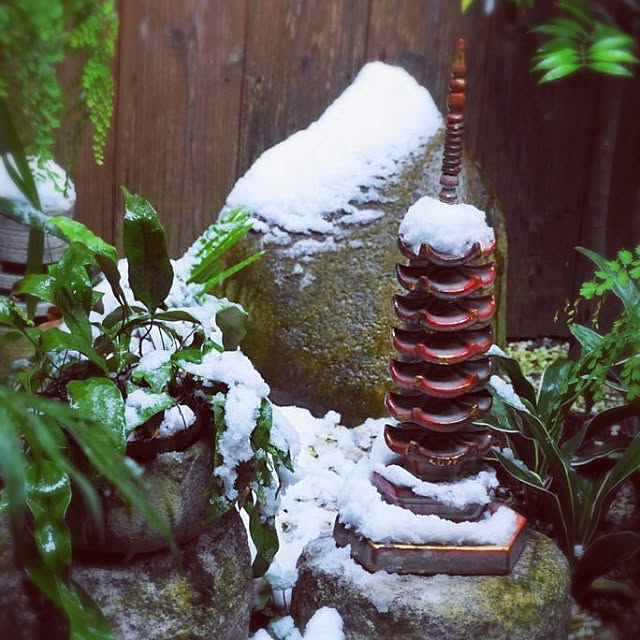 aromameさんの実例写真