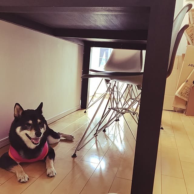 ume1202さんの実例写真