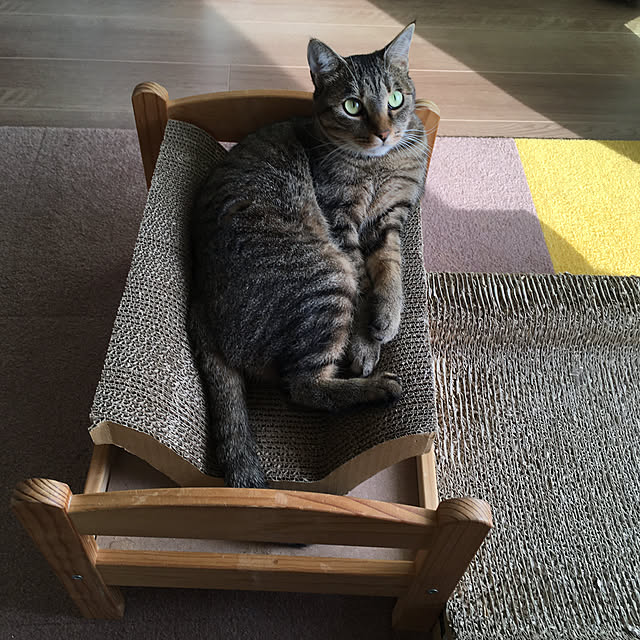 mikomaruさんの実例写真
