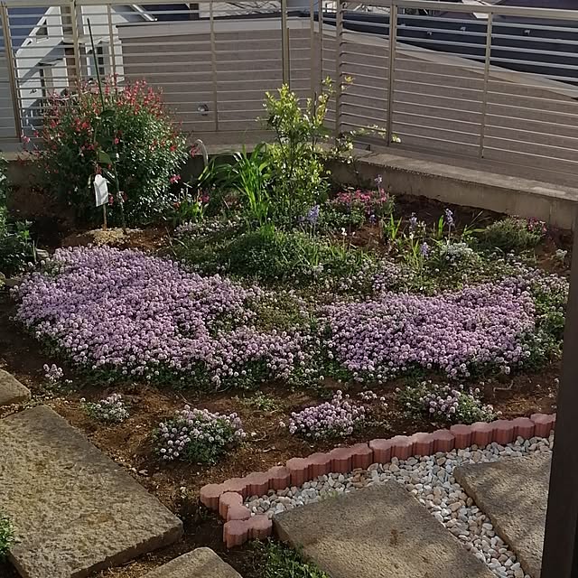 violaさんの実例写真
