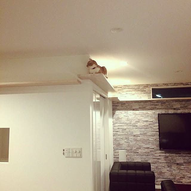 Shuichiさんの実例写真