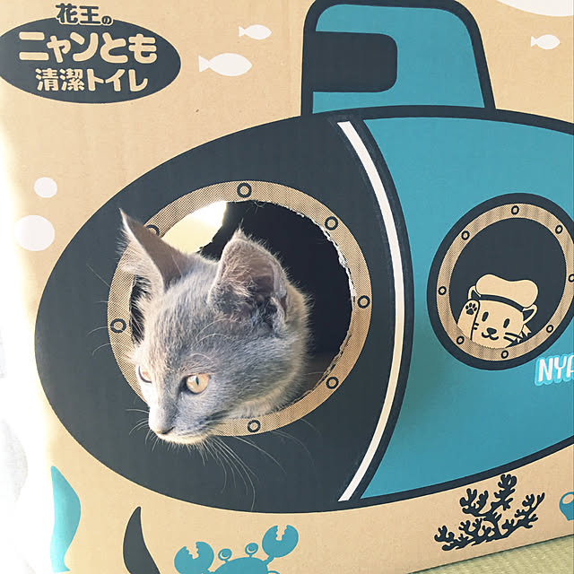yu-さんの実例写真