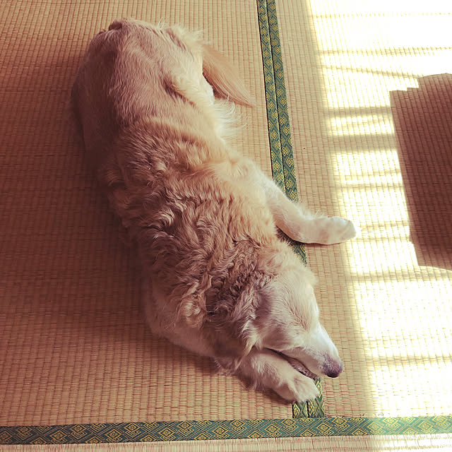 sunskysurfsandさんの実例写真