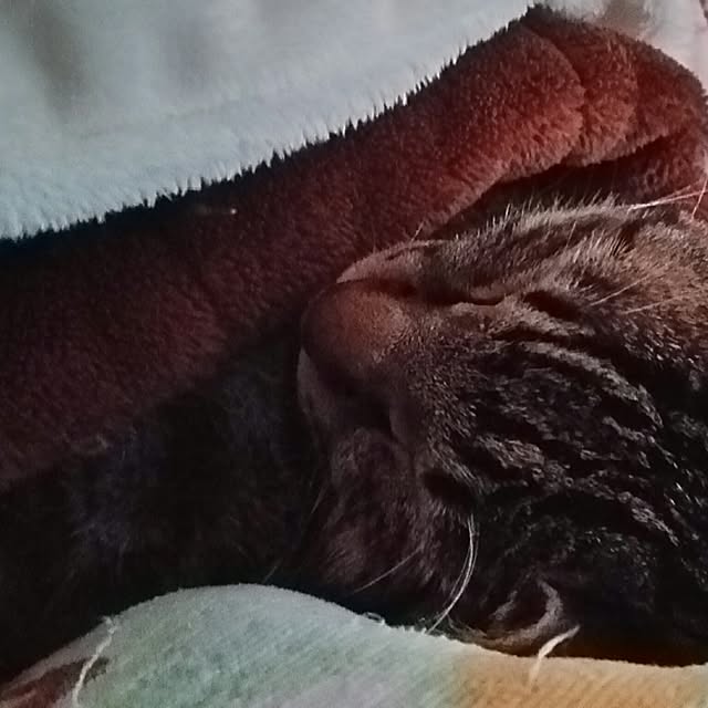 taleo07さんの実例写真