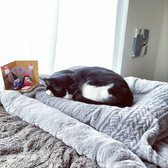 hihaさんの実例写真