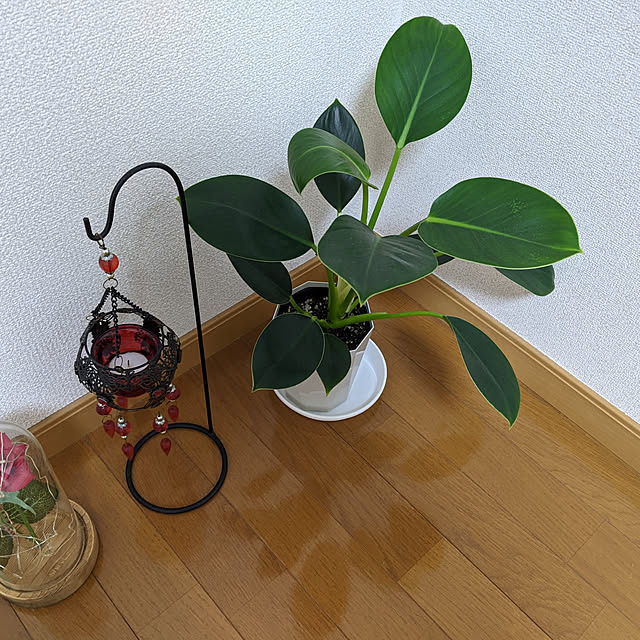 asaさんの実例写真