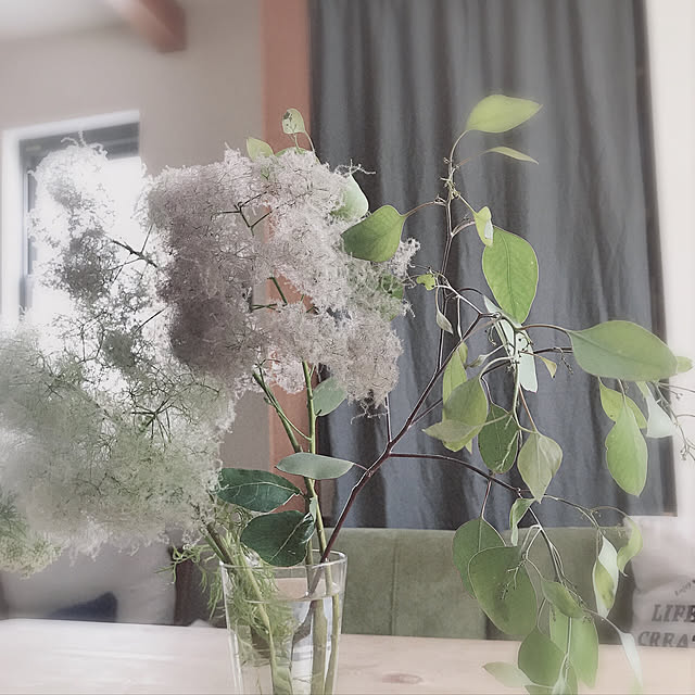 cocoさんの実例写真