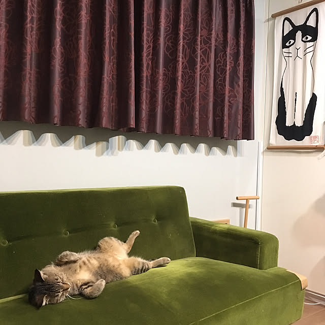 mikomaruさんの実例写真