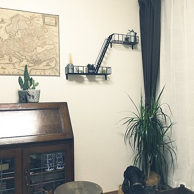 k_la_aさんの実例写真