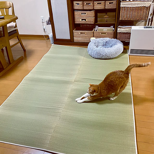 cocomaroさんの実例写真