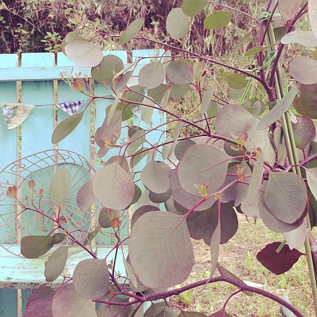 Atsu.さんの実例写真