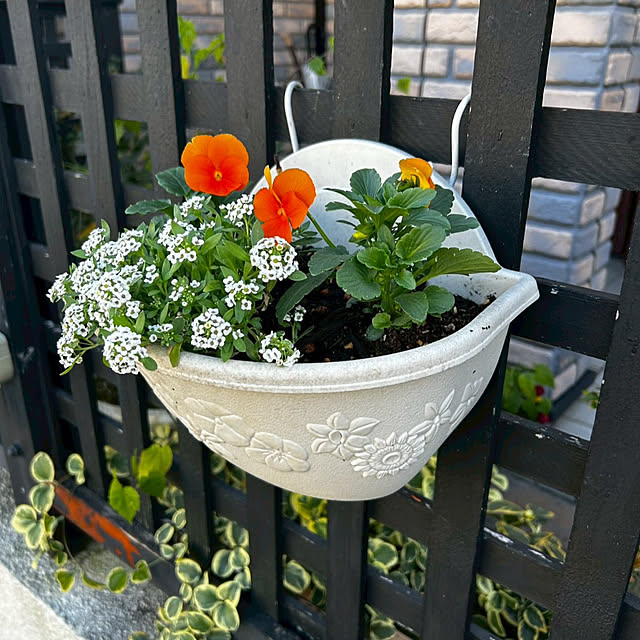 yu-chanさんの部屋