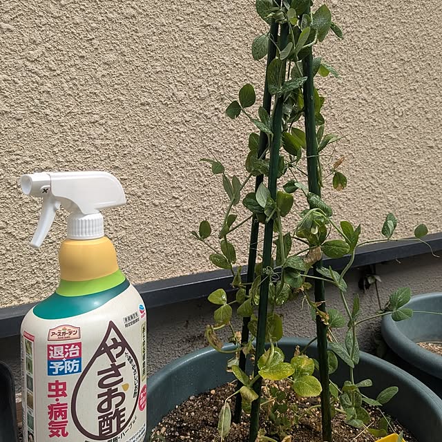 reeさんの実例写真