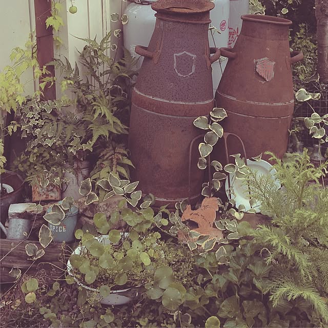 TOROさんの実例写真