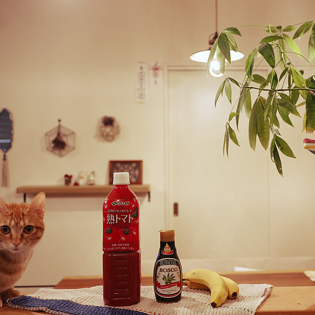 takakoさんの実例写真