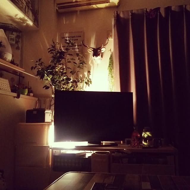 Yukariさんの実例写真