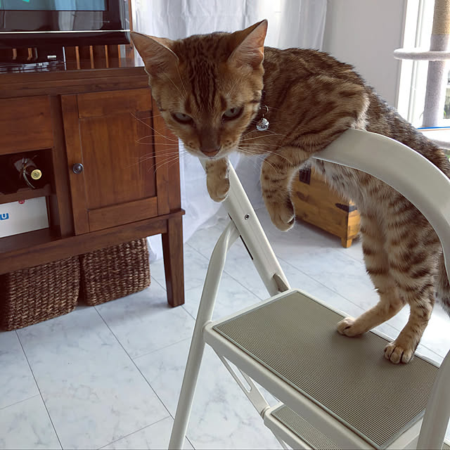 iranさんの実例写真