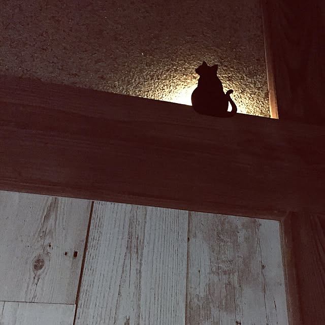yocchiさんの実例写真