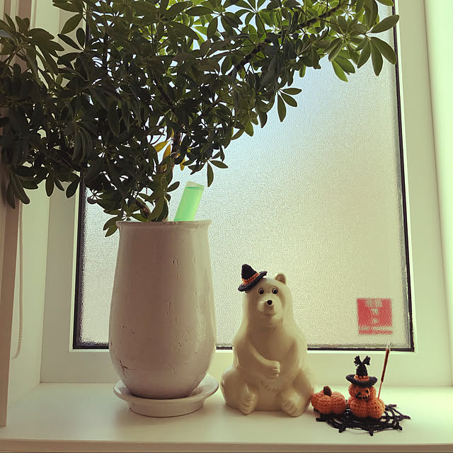 iwaさんの実例写真