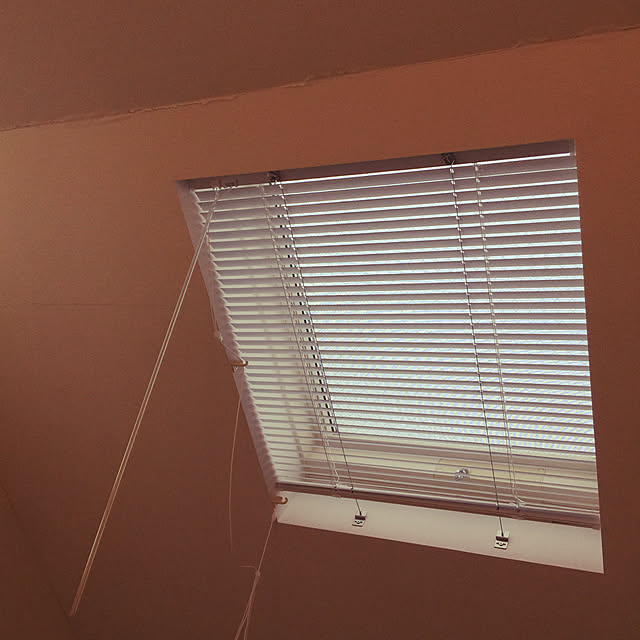 天井/壁/天井のインテリア実例 - 2019-03-01 12:03:28