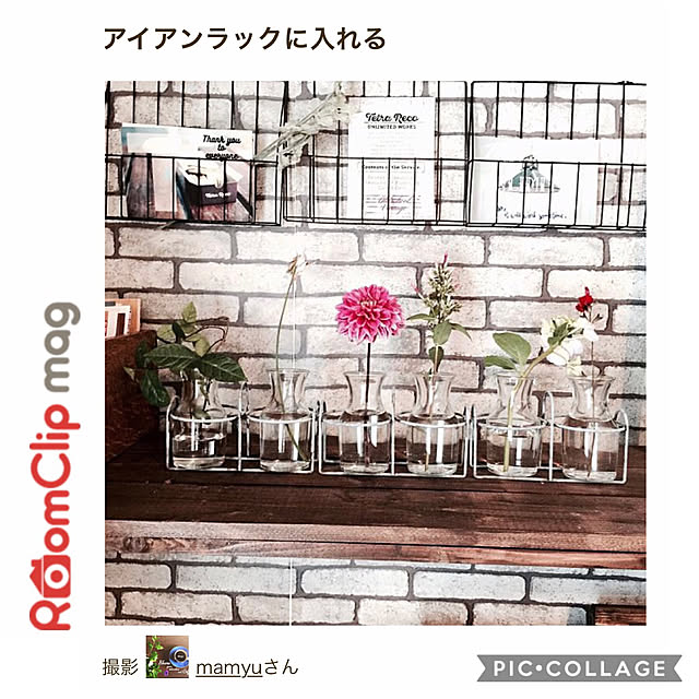 mamyuさんの実例写真