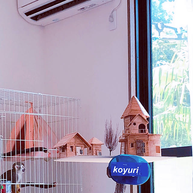 koyuriさんの実例写真