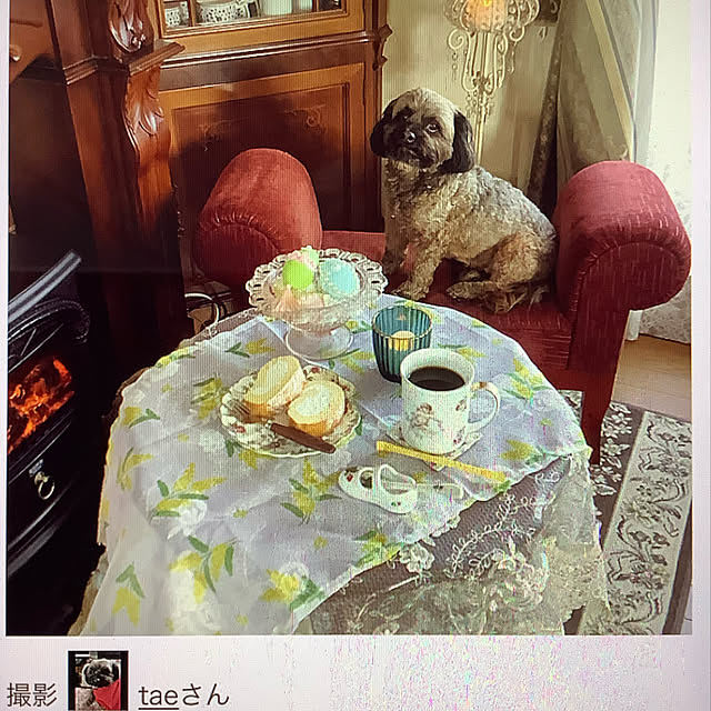 taeさんの実例写真